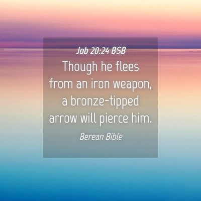 Picture 04 - Job 20:24 BSB - Though he flees from an iron weapon, a - Bible Verse Picture