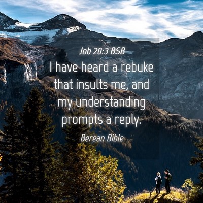 Picture 04 - Job 20:3 BSB - I have heard a rebuke that insults me, and my - Bible Verse Picture