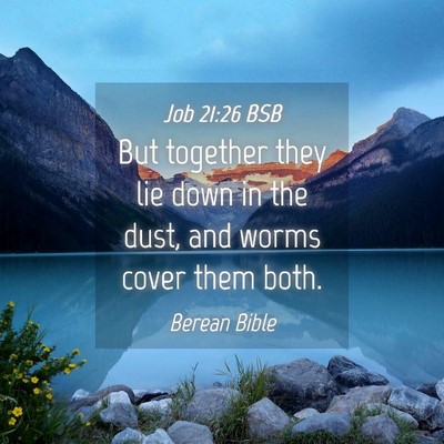 Picture 04 - Job 21:26 BSB - But together they lie down in the dust, and worms - Bible Verse Picture