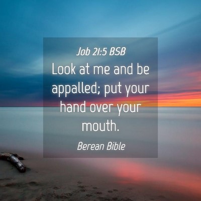 Picture 04 - Job 21:5 BSB - Look at me and be appalled; put your hand over - Bible Verse Picture