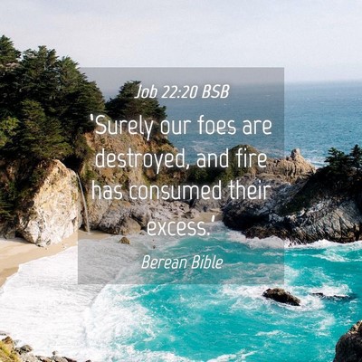 Picture 04 - Job 22:20 BSB - ‘Surely our foes are destroyed, and fire has - Bible Verse Picture