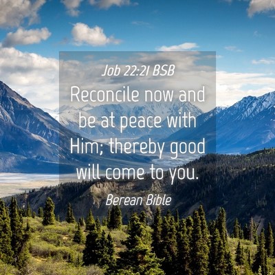 Picture 04 - Job 22:21 BSB - Reconcile now and be at peace with Him; thereby - Bible Verse Picture