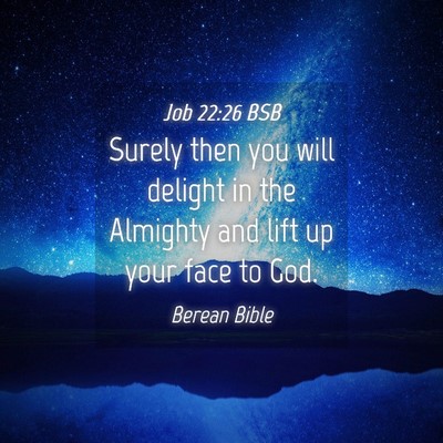 Picture 04 - Job 22:26 BSB - Surely then you will delight in the Almighty and - Bible Verse Picture