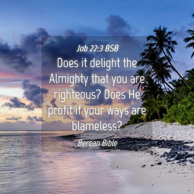 Picture 04 - Job 22:3 BSB - Does it delight the Almighty that you are - Bible Verse Picture