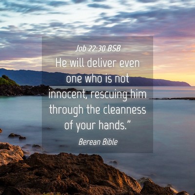 Picture 04 - Job 22:30 BSB - He will deliver even one who is not innocent, - Bible Verse Picture