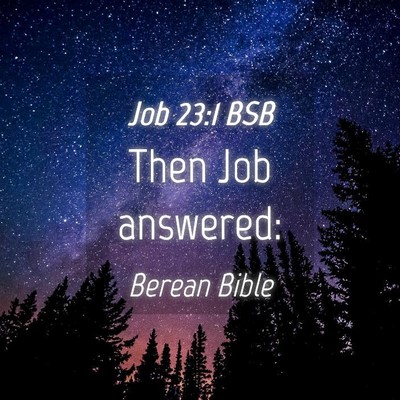 Picture 04 - Job 23:1 BSB - Then Job - Bible Verse Picture