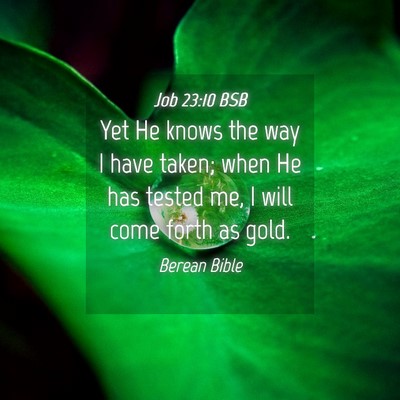 Picture 04 - Job 23:10 BSB - Yet He knows the way I have taken; when He has - Bible Verse Picture