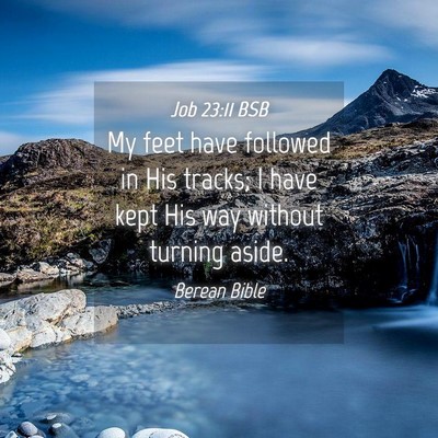 Picture 04 - Job 23:11 BSB - My feet have followed in His tracks; I have kept - Bible Verse Picture