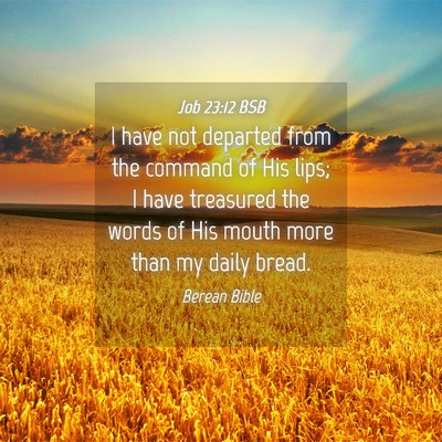 Picture 04 - Job 23:12 BSB - I have not departed from the command of His lips; - Bible Verse Picture