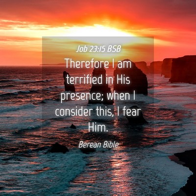 Picture 04 - Job 23:15 BSB - Therefore I am terrified in His presence; when I - Bible Verse Picture