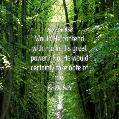 Picture 04 - Job 23:6 BSB - Would He contend with me in His great power? No, - Bible Verse Picture