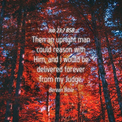Picture 04 - Job 23:7 BSB - Then an upright man could reason with Him, and I - Bible Verse Picture
