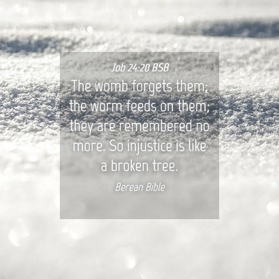 Picture 04 - Job 24:20 BSB - The womb forgets them; the worm feeds on them; - Bible Verse Picture
