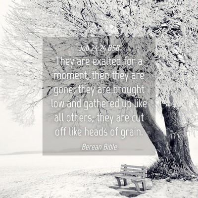 Picture 04 - Job 24:24 BSB - They are exalted for a moment, then they are - Bible Verse Picture