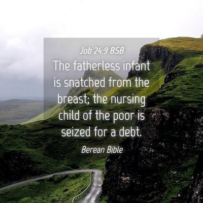 Picture 04 - Job 24:9 BSB - The fatherless infant is snatched from the - Bible Verse Picture