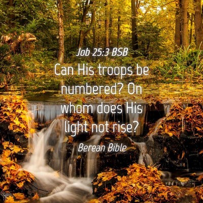 Picture 04 - Job 25:3 BSB - Can His troops be numbered? On whom does His - Bible Verse Picture