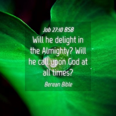 Picture 04 - Job 27:10 BSB - Will he delight in the Almighty? Will he call - Bible Verse Picture