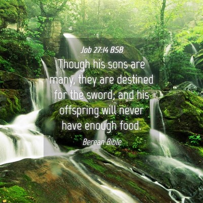 Picture 04 - Job 27:14 BSB - Though his sons are many, they are destined for - Bible Verse Picture