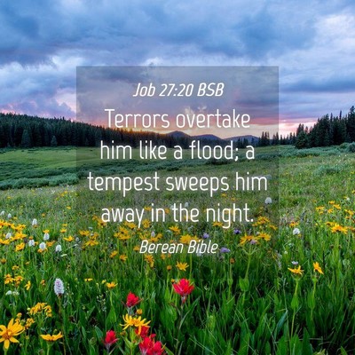 Picture 04 - Job 27:20 BSB - Terrors overtake him like a flood; a tempest - Bible Verse Picture