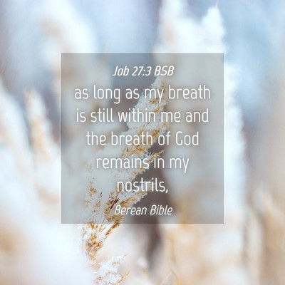 Picture 04 - Job 27:3 BSB - as long as my breath is still within me and the - Bible Verse Picture