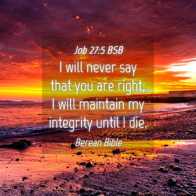 Picture 04 - Job 27:5 BSB - I will never say that you are right; I will - Bible Verse Picture