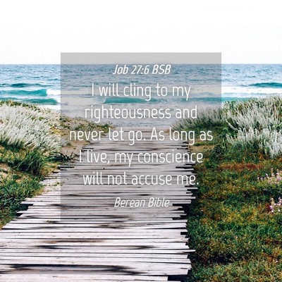 Picture 04 - Job 27:6 BSB - I will cling to my righteousness and never let - Bible Verse Picture