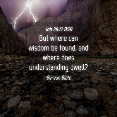 Picture 04 - Job 28:12 BSB - But where can wisdom be found, and where does - Bible Verse Picture