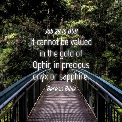 Picture 04 - Job 28:16 BSB - It cannot be valued in the gold of Ophir, in - Bible Verse Picture
