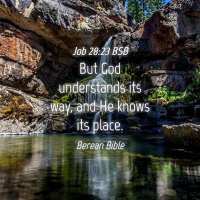 Picture 04 - Job 28:23 BSB - But God understands its way, and He knows its - Bible Verse Picture