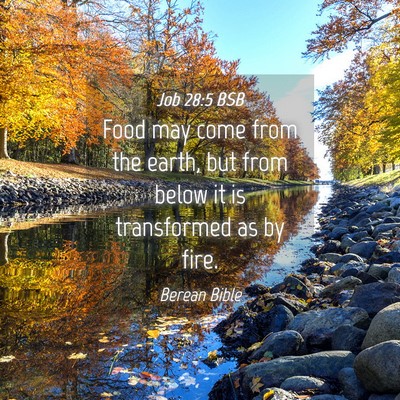 Picture 04 - Job 28:5 BSB - Food may come from the earth, but from below it - Bible Verse Picture