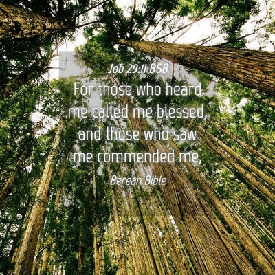 Picture 04 - Job 29:11 BSB - For those who heard me called me blessed, and - Bible Verse Picture