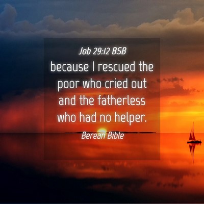 Picture 04 - Job 29:12 BSB - because I rescued the poor who cried out and the - Bible Verse Picture