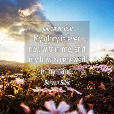 Picture 04 - Job 29:20 BSB - My glory is ever new within me, and my bow is - Bible Verse Picture