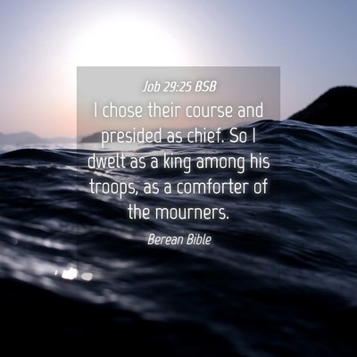Picture 04 - Job 29:25 BSB - I chose their course and presided as chief. So I - Bible Verse Picture