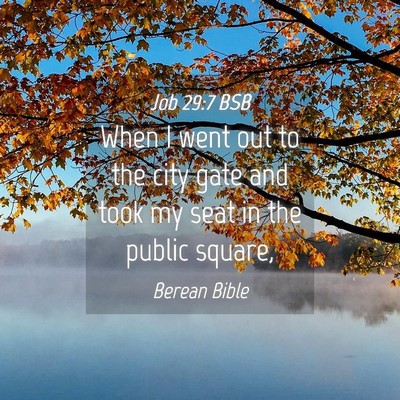 Picture 04 - Job 29:7 BSB - When I went out to the city gate and took my seat - Bible Verse Picture