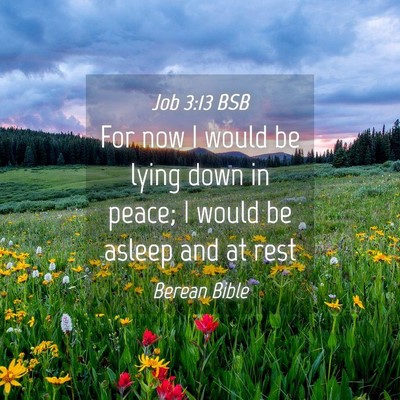 Picture 04 - Job 3:13 BSB - For now I would be lying down in peace; I would - Bible Verse Picture