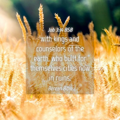Picture 04 - Job 3:14 BSB - with kings and counselors of the earth, who built - Bible Verse Picture