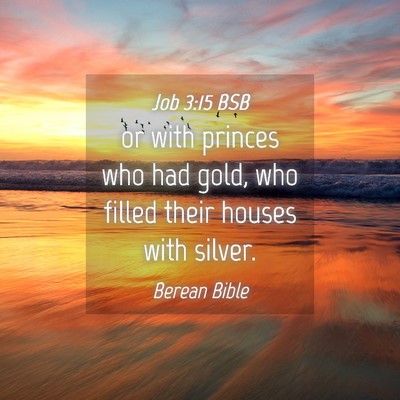 Picture 04 - Job 3:15 BSB - or with princes who had gold, who filled their - Bible Verse Picture