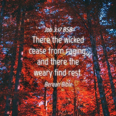 Picture 04 - Job 3:17 BSB - There the wicked cease from raging, and there the - Bible Verse Picture