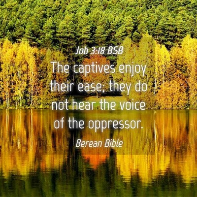 Picture 04 - Job 3:18 BSB - The captives enjoy their ease; they do not hear - Bible Verse Picture