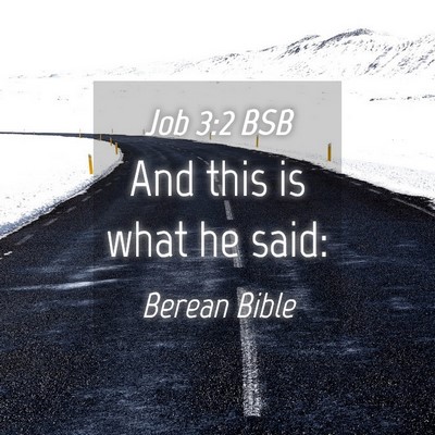 Picture 04 - Job 3:2 BSB - And this is what he - Bible Verse Picture