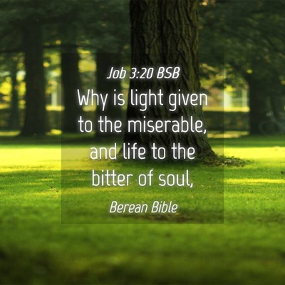 Picture 04 - Job 3:20 BSB - Why is light given to the miserable, and life to - Bible Verse Picture