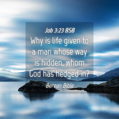 Picture 04 - Job 3:23 BSB - Why is life given to a man whose way is hidden, - Bible Verse Picture