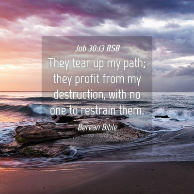 Picture 04 - Job 30:13 BSB - They tear up my path; they profit from my - Bible Verse Picture