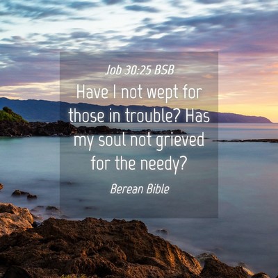 Picture 04 - Job 30:25 BSB - Have I not wept for those in trouble? Has my soul - Bible Verse Picture
