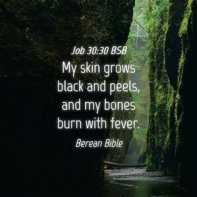 Picture 04 - Job 30:30 BSB - My skin grows black and peels, and my bones burn - Bible Verse Picture