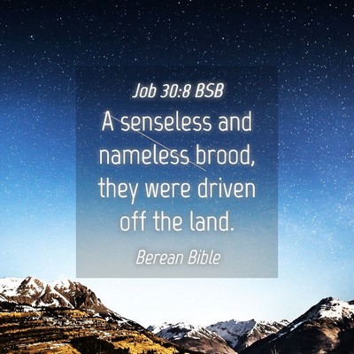 Picture 04 - Job 30:8 BSB - A senseless and nameless brood, they were driven - Bible Verse Picture
