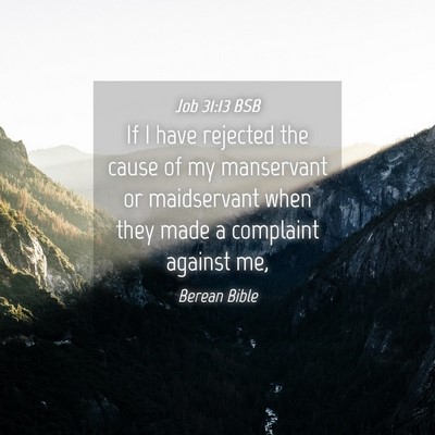 Picture 04 - Job 31:13 BSB - If I have rejected the cause of my manservant or - Bible Verse Picture