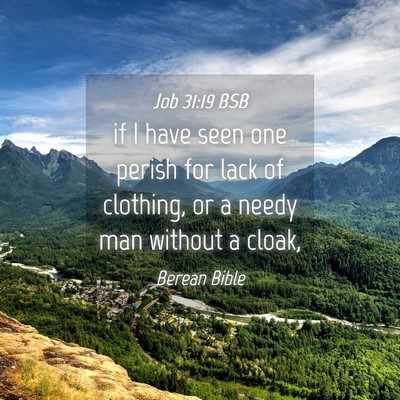Picture 04 - Job 31:19 BSB - if I have seen one perish for lack of clothing, - Bible Verse Picture