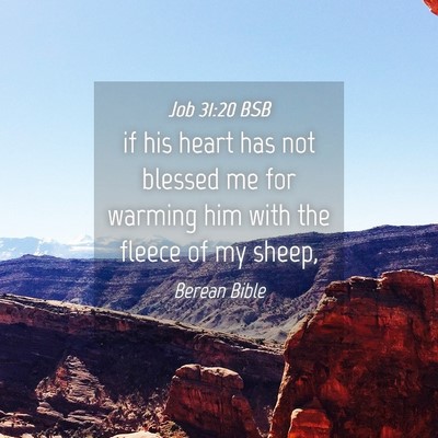 Picture 04 - Job 31:20 BSB - if his heart has not blessed me for warming him - Bible Verse Picture